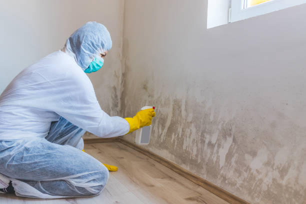 Licensed Mold Testing service in Capitol Heights, MD - WQB Mold Removal