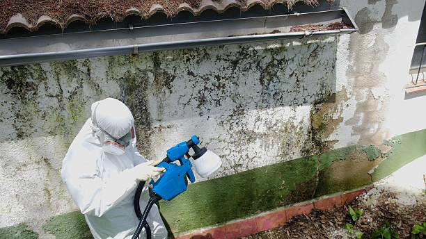 Top rated local Mold Testing specialists in Capitol Heights, MD